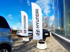 Fahnen kaufen in Lauda-Königshofen Hissflaggen kaufen in Lauda-Königshofen